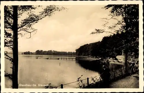 Ak Glauchau in Sachsen, Stausee, Ufer, Steg, Boot, Waldweg