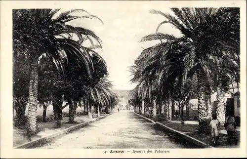 Ak Arzew Algerien, Avenue des Palmiers