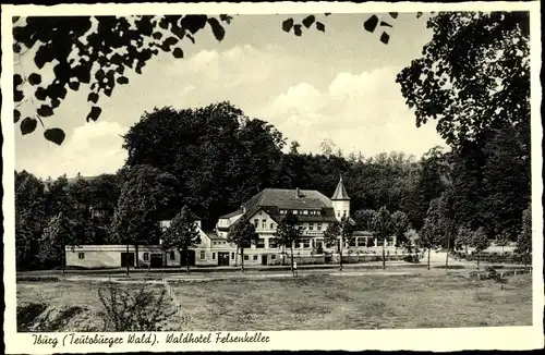 Ak Bad Iburg am Teutoburger Wald, Waldhotel Felsenkeller