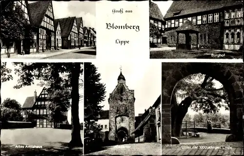 Ak Blomberg in Lippe, Altes Amtshaus, Niedertor, Burghof, 1000jähr. Linde