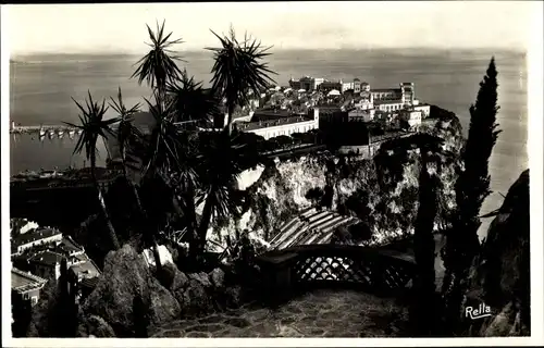 Ak Monaco, Le Rocher vu des Jardins exotiques