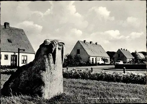 Ak Geestemünde Bremerhaven, Siedlung Am Bürgerpark, Walrossstein