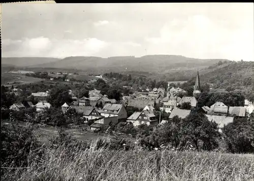 Ak Neustadt im Harz Harztor Thüringen, Panorama