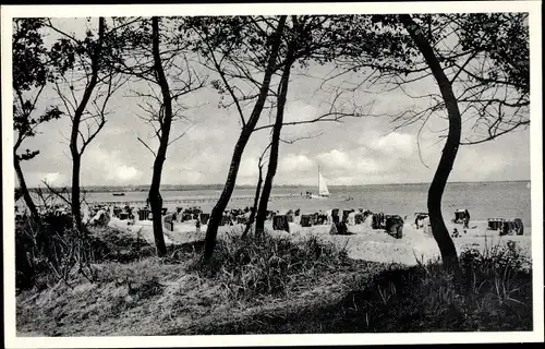 Ak Ostseebad Scharbeutz in Ostholstein, Partie unterhalb des Musikpavillons, Strand, Strandkörbe