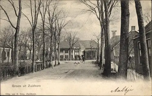 Ak Zuidhorn Groningen, Allee, Häuser