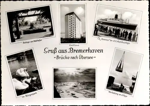 Ak Bremerhaven, Holzhafen, Bürgerpark, Schwäne, Hochhaus, TS Bremen an der Columbuskaje