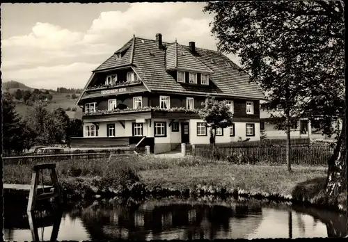 Ak Hinterzarten im Schwarzwald, Haus Berne, Gartenteich