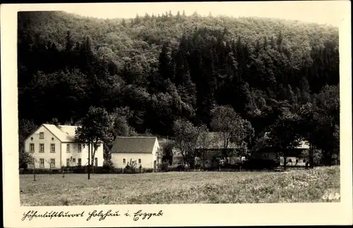 Foto Ak Holzhau Rechenberg Bienenmühle, Teilansicht vom Ort, Wald