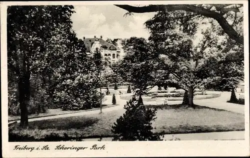 Ak Freiberg in Sachsen, Scheringer Park