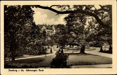 Ak Freiberg in Sachsen, Scheringer Park