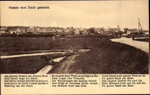 Ak Husum in Nordfriesland, Blick vom Deich, Gedicht von Theodor Storm