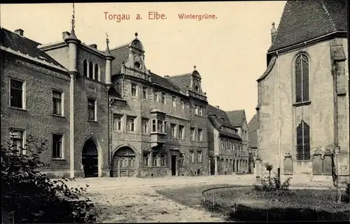 Ak Torgau an der Elbe, Wintergrüne