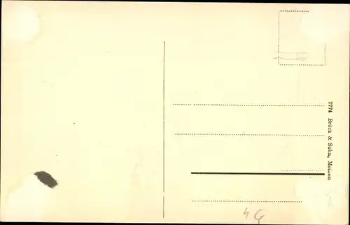 Ak Torgau an der Elbe, Wintergrüne