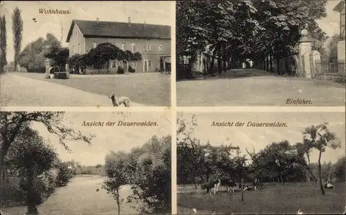 Ak Benndorf Frohburg in Sachsen, Ansicht d. Dauerweiden, Wohnhaus, Einfahrt