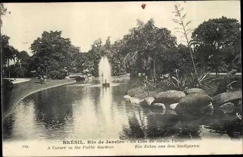 Ak Rio de Janeiro Brasilien, Un Coin du Jardin Public, Stadtgarten