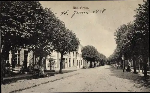 Ak Bad Arnis an der Schlei, Straßenpartie
