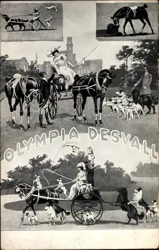 Ak Olympia Desvall, dressierte Pferde und Hunde, Kutsche