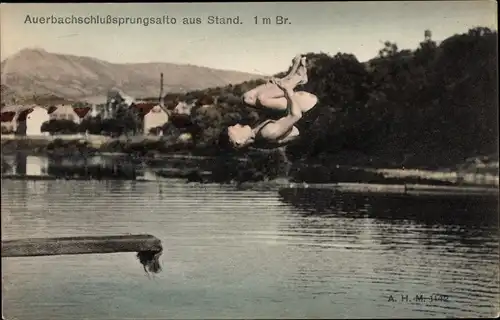 Ak Auerbachschlußsprungsalto aus Stand, 1 m Brett, Turmspringer, Kunstspringer