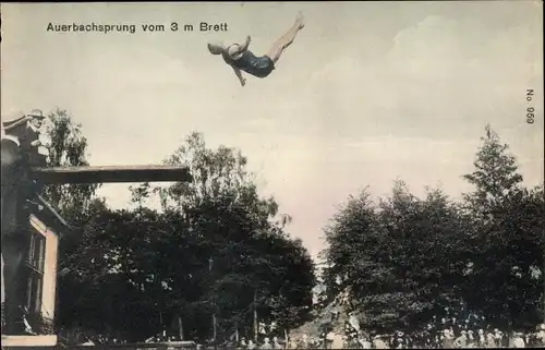 Ak Auerbachsprung vom 3 m Brett, Turmspringer, Kunstspringer