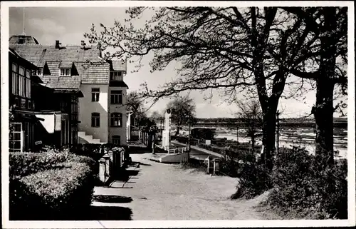 Ak Ostseebad Scharbeutz in Ostholstein, Partie im Ort, Meer, Bäume, Häuser