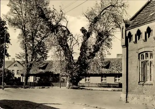 Ak Dobbertin Mecklenburg, Blick aus der Lindenstraße in die Straße der Jugend