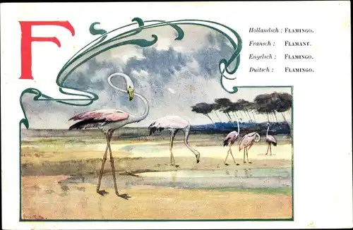 Buchstaben Künstler Ak Titz, L., Flamingos, Flamingo, Flamant