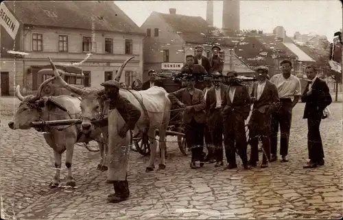 Foto Ak Tschechien ?, Rinderfuhrwerk in einer Stadt 1914, Männergruppe