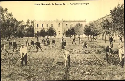 Ak Bouzareah Algier Alger Algerien, Ecole Normale, Agriculture pratique