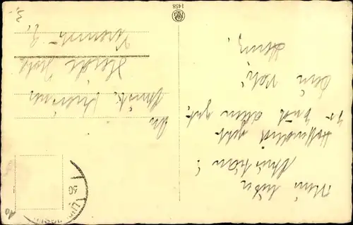 Ak Schmeichelkätzchen, Katze