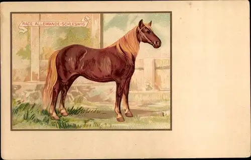 Künstler Ak Pferd, Race Allemande Schleswig, La Belle Jardinière