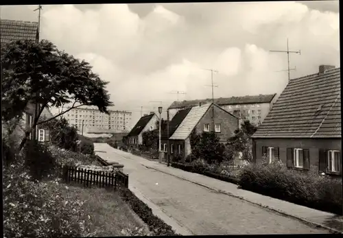 Ak Kröpelin in Mecklenburg, Am Wedenberg