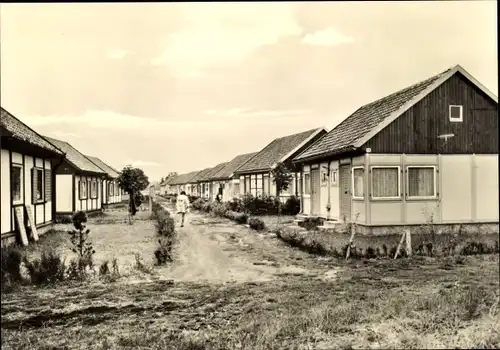 Ak Ostseebad Zingst, Bungalowdorf