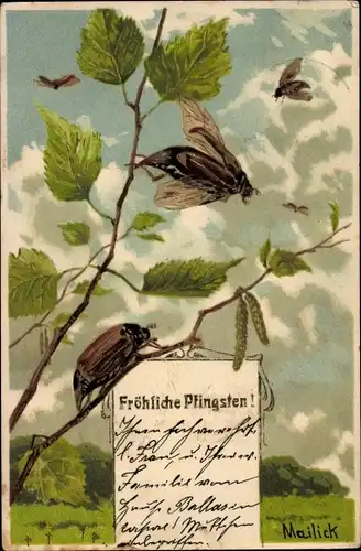 Künstler Präge Litho Glückwunsch Pfingsten, Maikäfer, Haselzweig