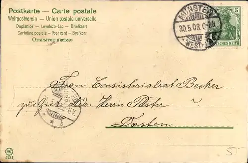 Künstler Präge Litho Glückwunsch Pfingsten, Maikäfer, Haselzweig