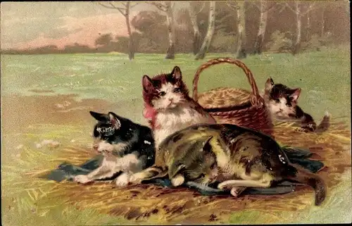 Künstler Ak Vier junge Katzen, Korb