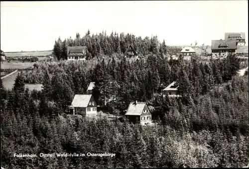 Ak Waldidylle Altenberg im Erzgebirge, Panorama