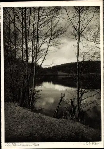 Ak Daun in der Vulkaneifel, Blick auf Gemündener Maar