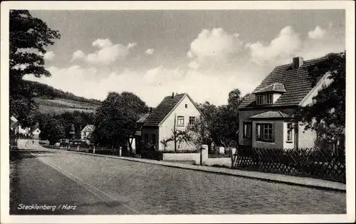 Ak Stecklenberg Thale im Harz, Teilansicht vom Ort, Straßenpartie