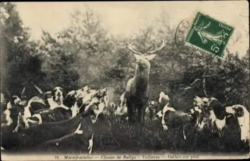 Ak Mortefontaine Aisne, Chasse de Rallye, Vallieres, Jagdhunde