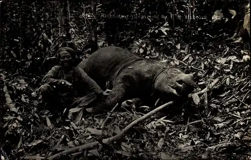 Foto Ak Mann mit erlegtem Nashorn, Nashornjagd