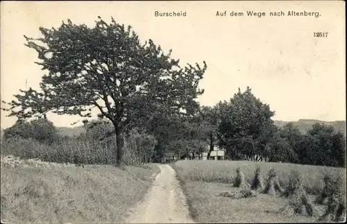 Ak Burscheid in Nordrhein Westfalen, Auf dem Weg nach Altenberg