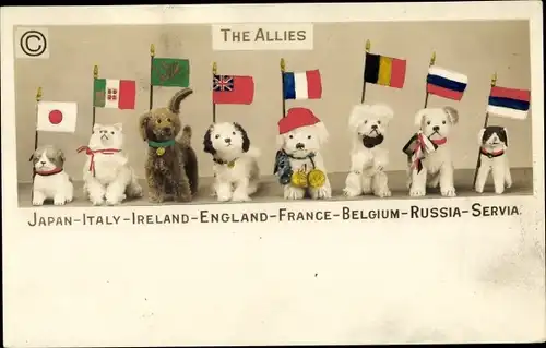 Ak The Allies, Plüschtiere mit Flaggen, Japan, Italien, Irland, England, Frankreich, Belgien