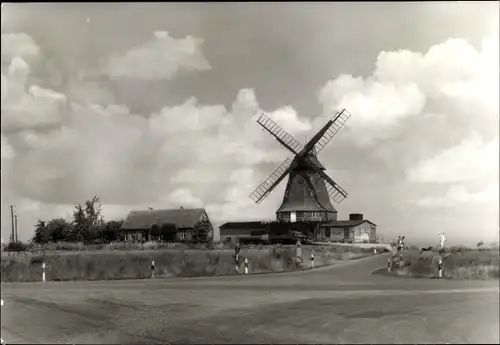 Ak Dabel in Mecklenburg, Windmühle