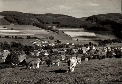 Ak Wiemeringhausen Olsberg im Sauerland, Panorama, Kühe