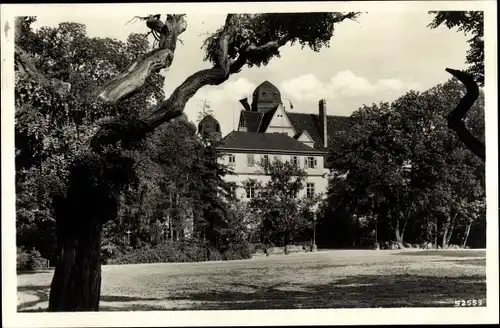 Ak Cöthen Köthen in Anhalt, Blick zum Schloss