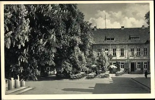 Ak Dresden Pillnitz, Schlossschänke Pillnitz, Gaststätte, Konditorei