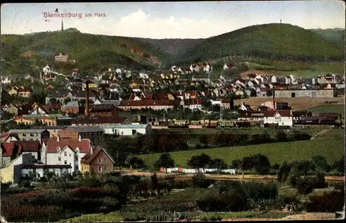 Ak Blankenburg am Harz, Gesamtansicht