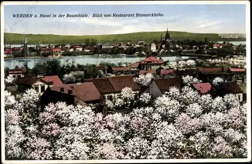 Ak Werder an der Havel, Baumblüte, Blick vom Restaurant Bismarckhöhe