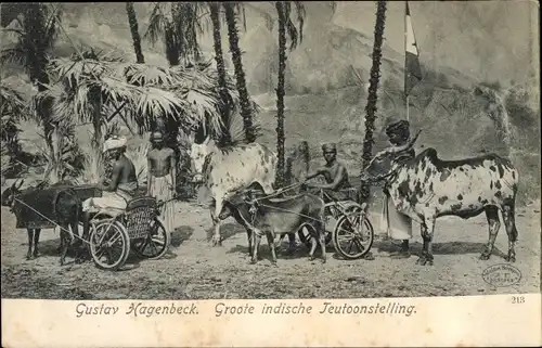 Ak Gustav Hagenbeck, Groote indische Tentoonstelling, Rinder, Ziegenwagen