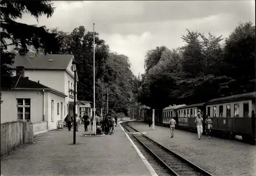 Ak Heiligendamm Bad Doberan, Bahnhof mit Bäderbahn Molli, Gleisseite